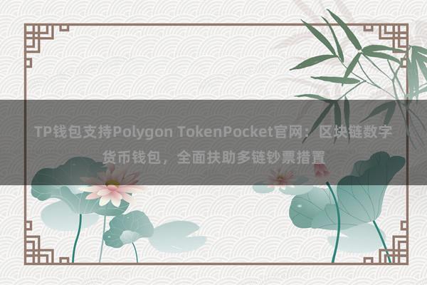 TP钱包支持Polygon TokenPocket官网：区块链数字货币钱包，全面扶助多链钞票措置