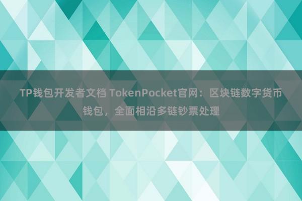 TP钱包开发者文档 TokenPocket官网：区块链数字货币钱包，全面相沿多链钞票处理